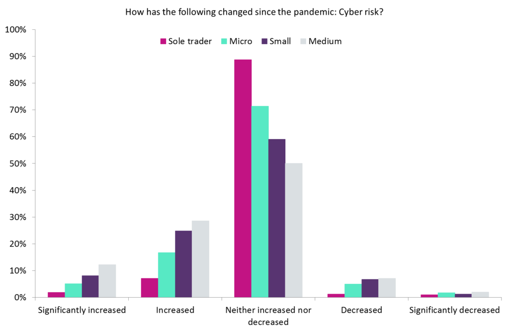 cyber risk pandemic